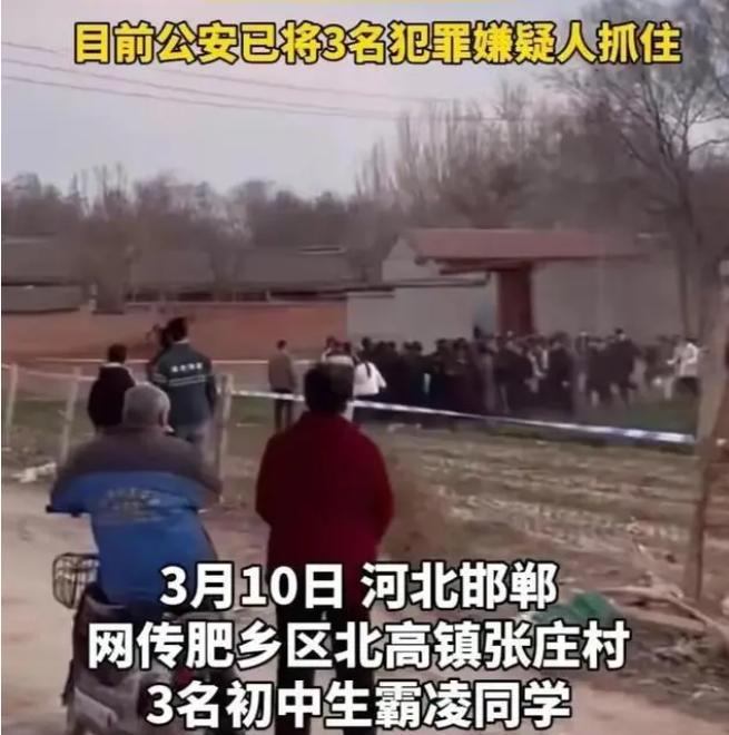 邯鄲初中生遇害案宣判：1人被判無期